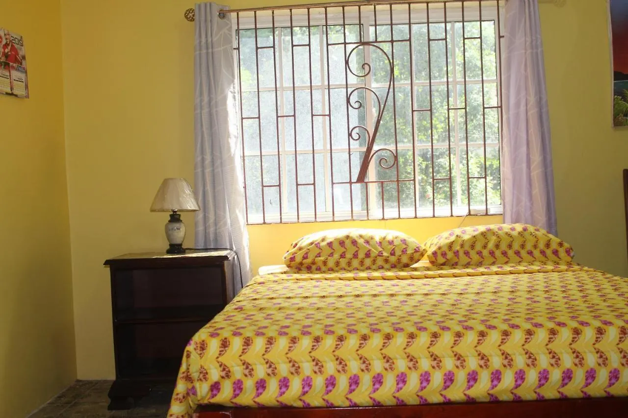 Ritashomeawayfromhome Ocho Rios 2*,