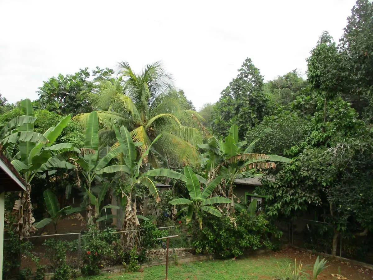 ** Bed & Breakfast Ritashomeawayfromhome Ocho Rios Giamaica